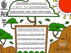 重阳节手抄报简单画法带字，重阳节手抄报好看又好画绘画过程