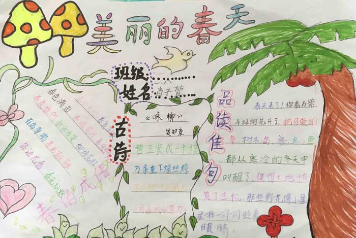 春天的手抄报图片，美丽的春天