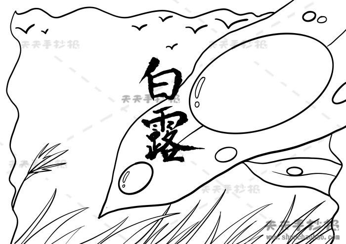 白露手抄报