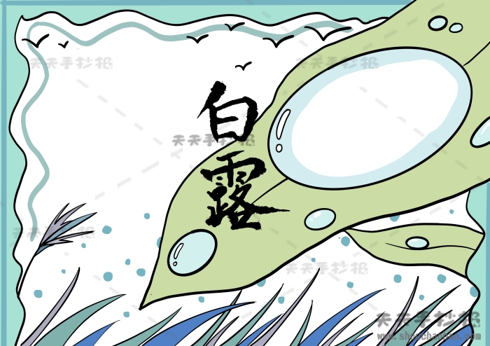 白露手抄报