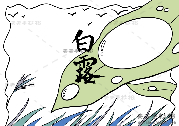白露手抄报
