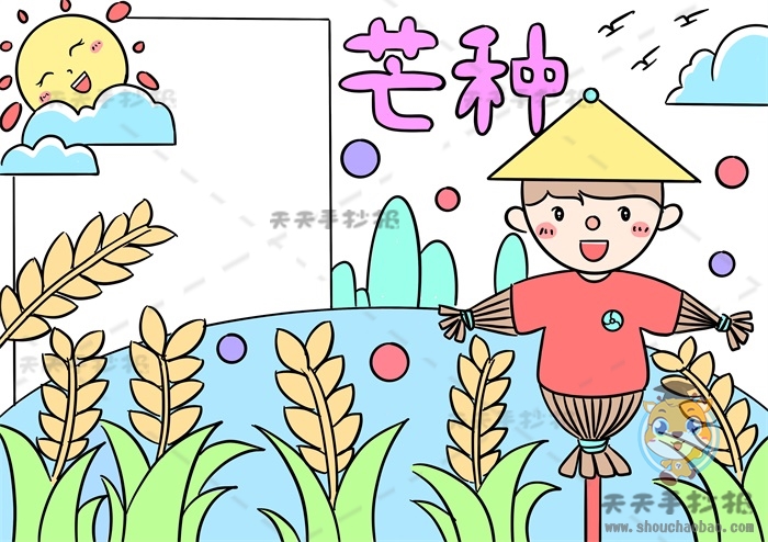 芒种手抄报