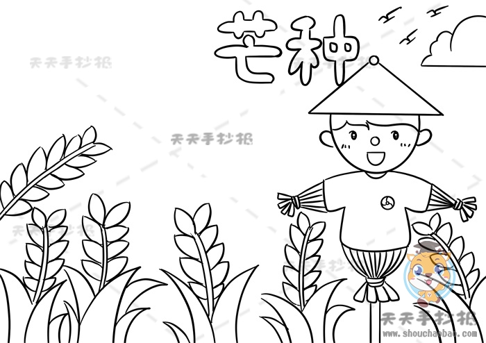 芒种手抄报