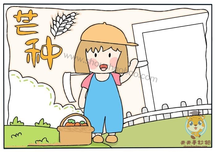 芒种手抄报