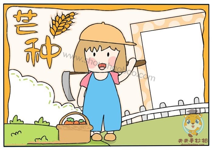 芒种手抄报