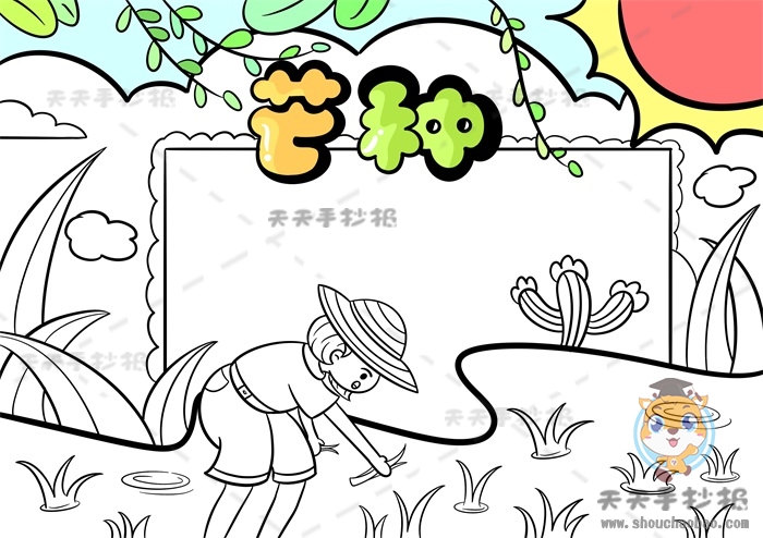 芒种手抄报