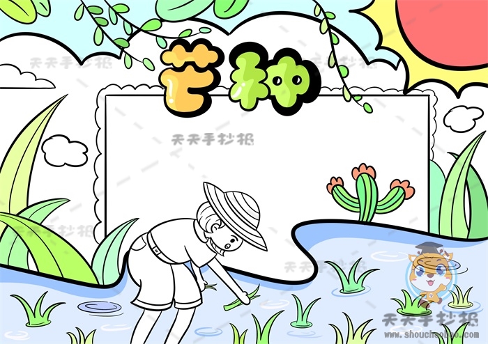 芒种手抄报