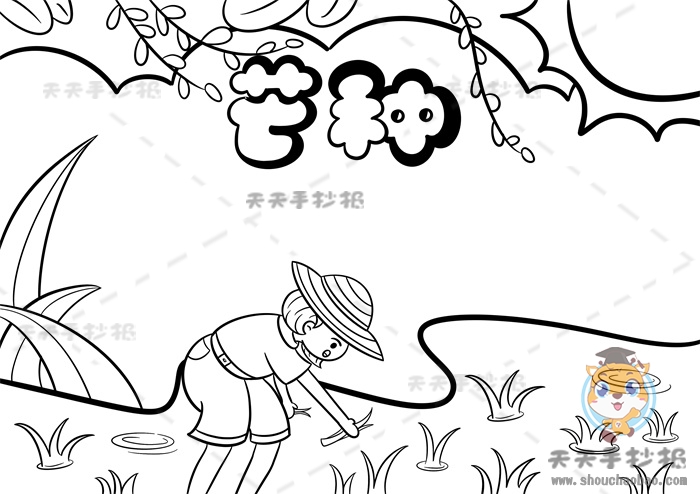 芒种手抄报