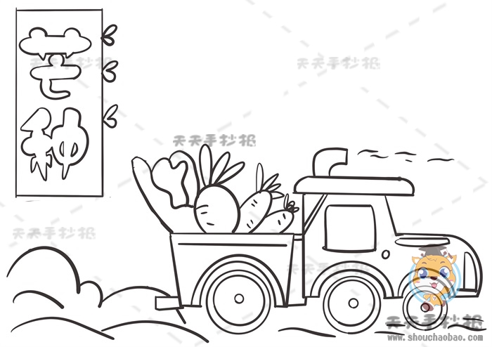 芒种手抄报
