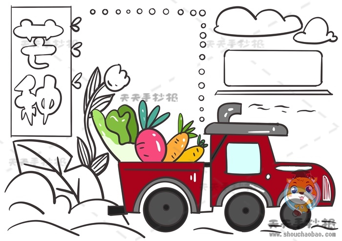 芒种手抄报