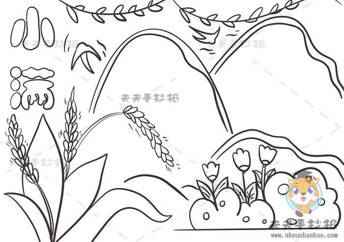 小满手抄报