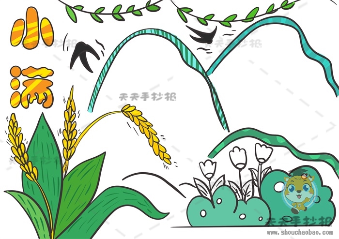 小满手抄报