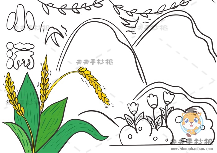 小满手抄报
