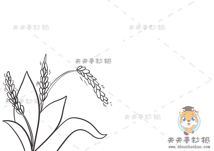 小满手抄报