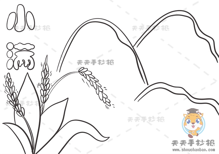 小满手抄报