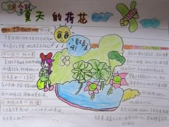 夏天手抄报图片，夏天的荷花