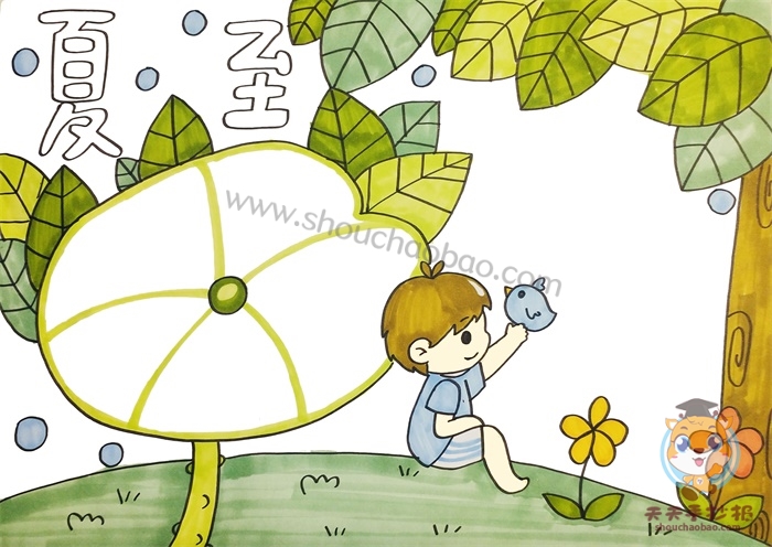 二十四节气夏至手抄报