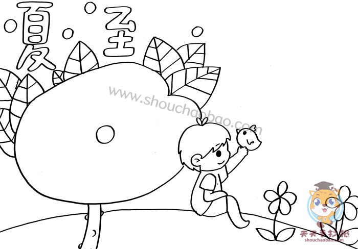 二十四节气夏至手抄报