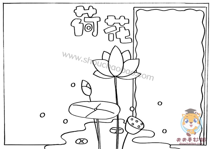 荷花手抄报