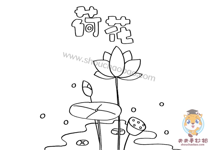 荷花手抄报