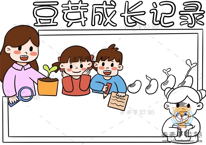 豆芽成长记录手抄报