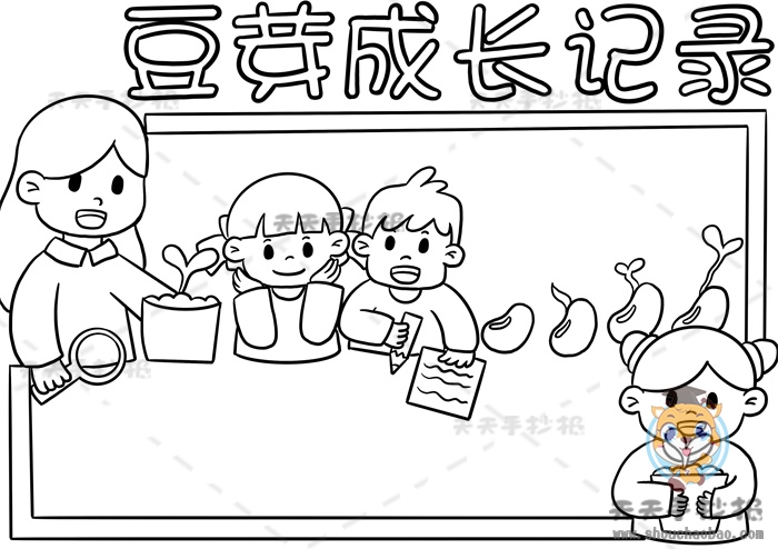 豆芽成长记录手抄报