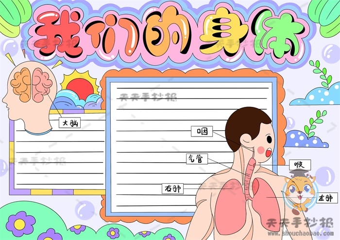 我的身体手抄报