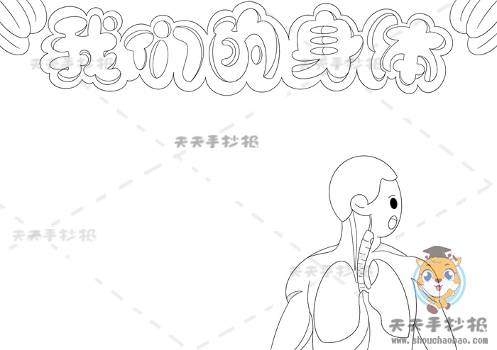 我的身体手抄报