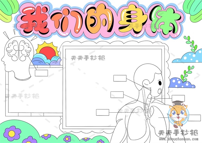 我的身体手抄报
