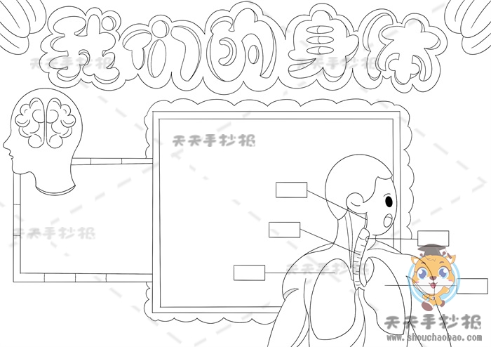 我的身体手抄报