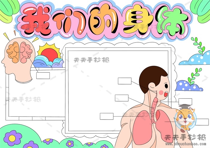 我的身体手抄报