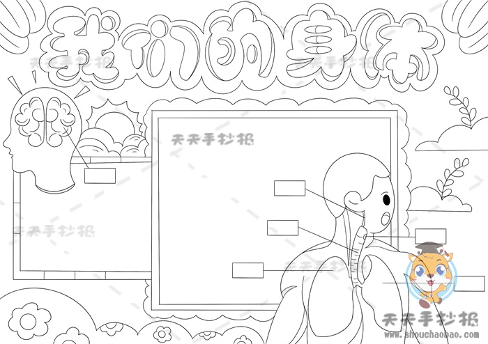 我的身体手抄报