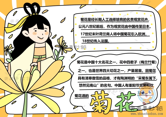 菊花手抄报
