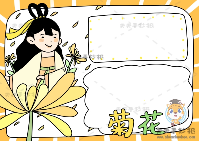 菊花手抄报