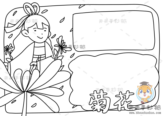 菊花手抄报