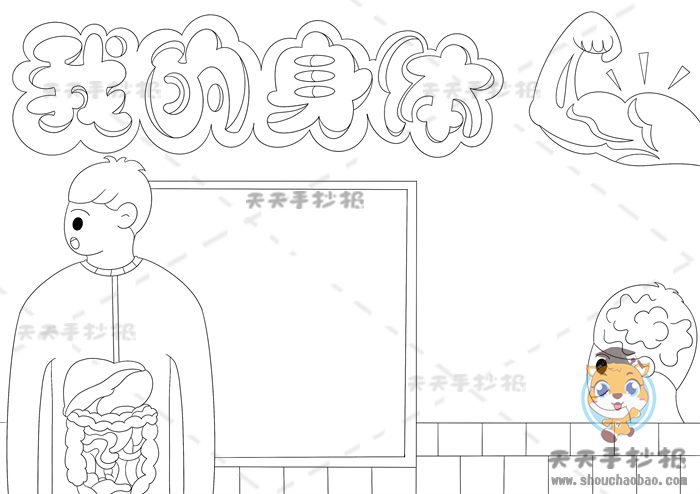 我的身体手抄报