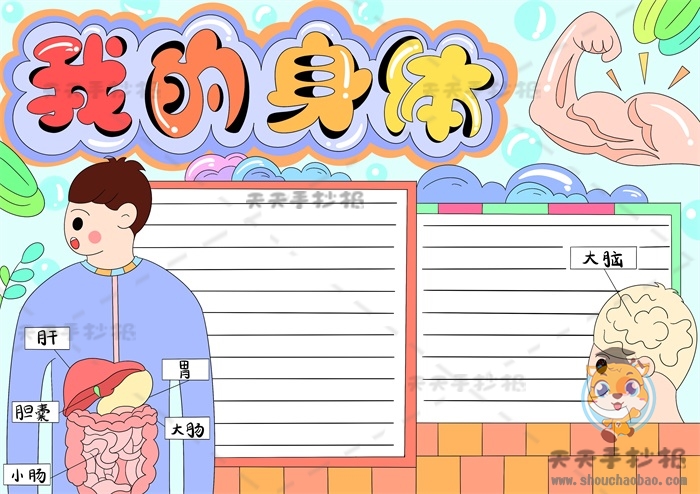我的身体手抄报