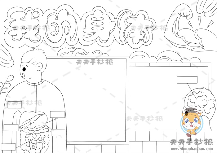 我的身体手抄报