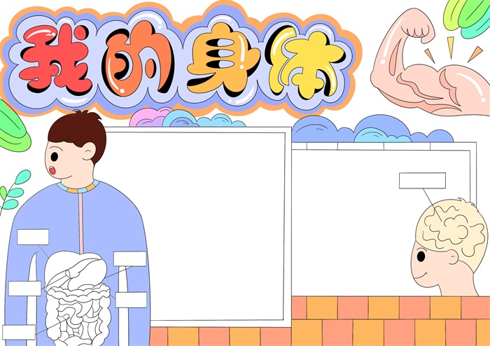 我的身体手抄报