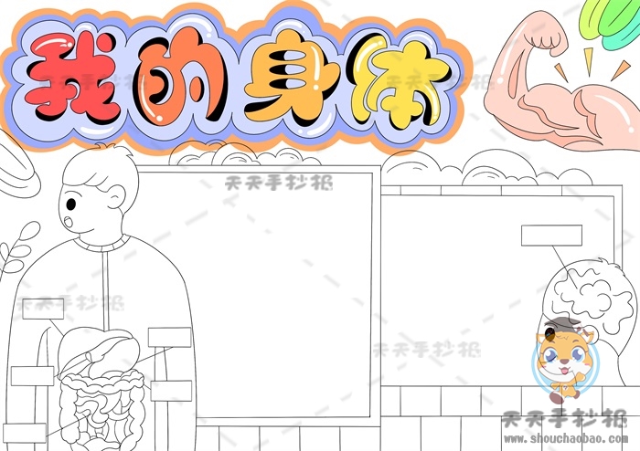 我的身体手抄报