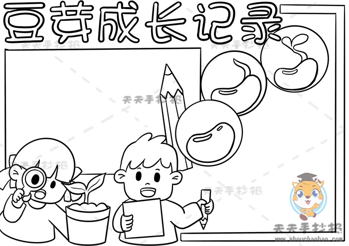 豆芽成长记录手抄报