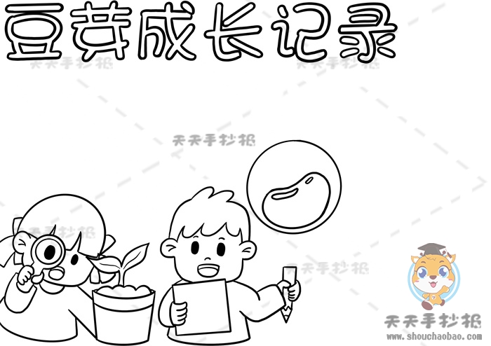 豆芽成长记录手抄报