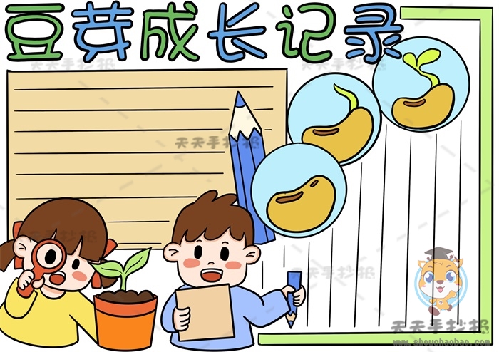 豆芽成长记录手抄报