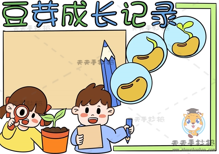 豆芽成长记录手抄报