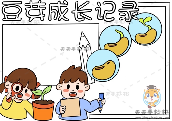 豆芽成长记录手抄报