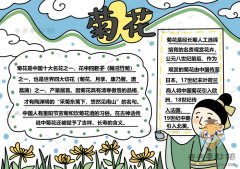 古风菊花手抄报怎么画好看，关于菊花的手抄报内容文字素材