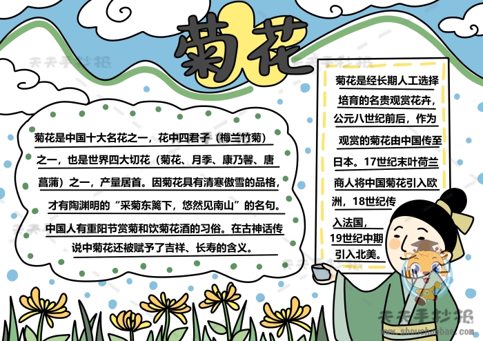 菊花手抄报