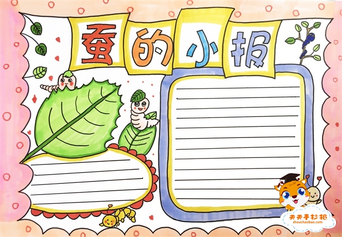 蚕的小报