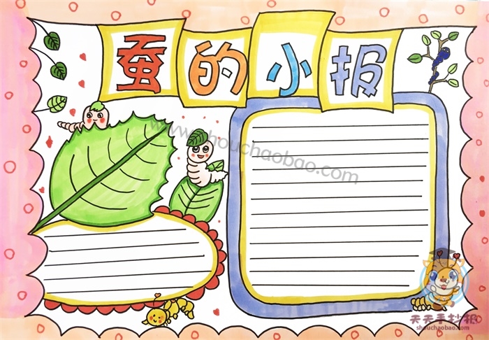 蚕的小报
