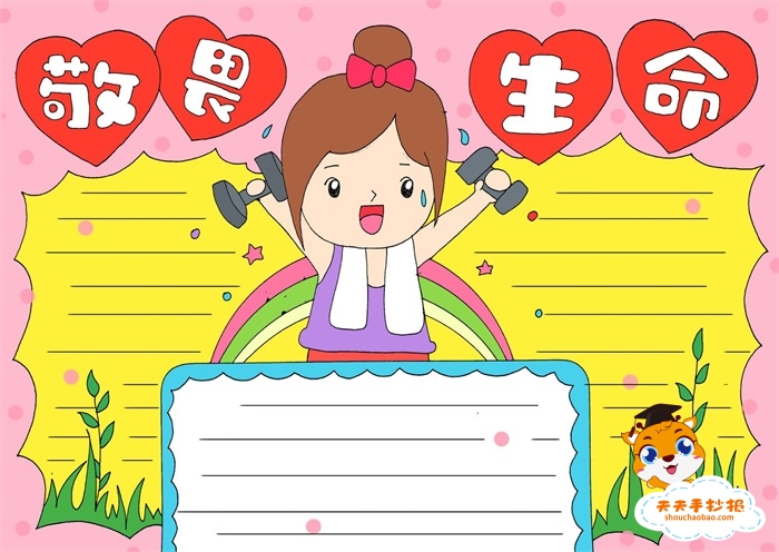 敬畏生命手抄报